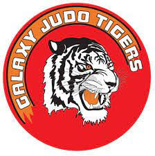 Logo Galaxy Tigers